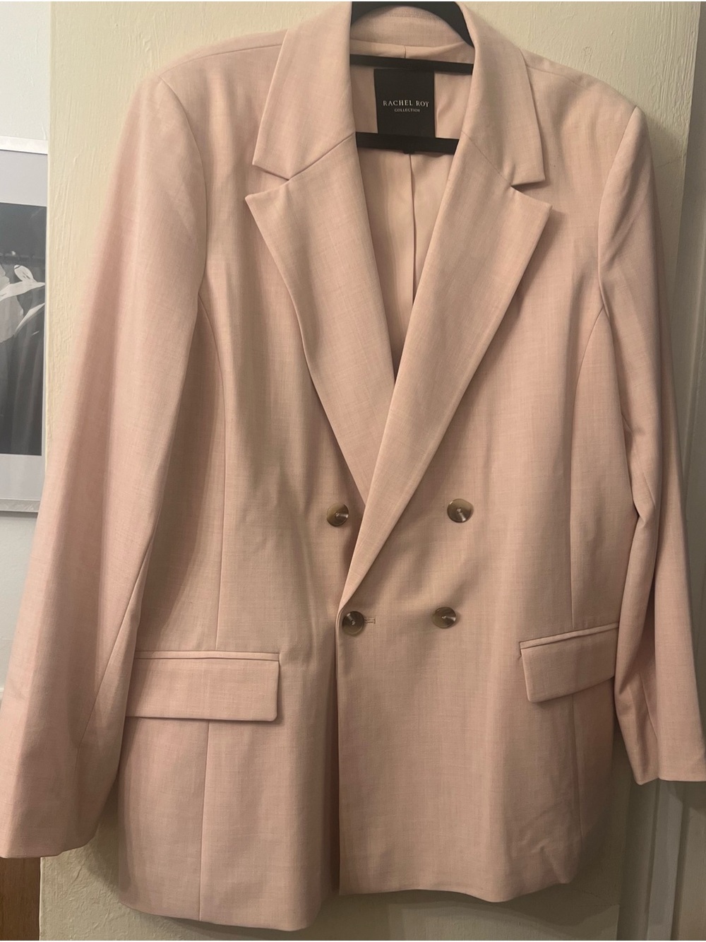 Rachel Roy Collection Pale Blush Double-Breasted Blazer
